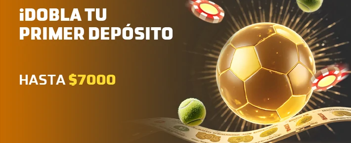 Tragamonedas premium en Roobet - Juega a los mejores juegos